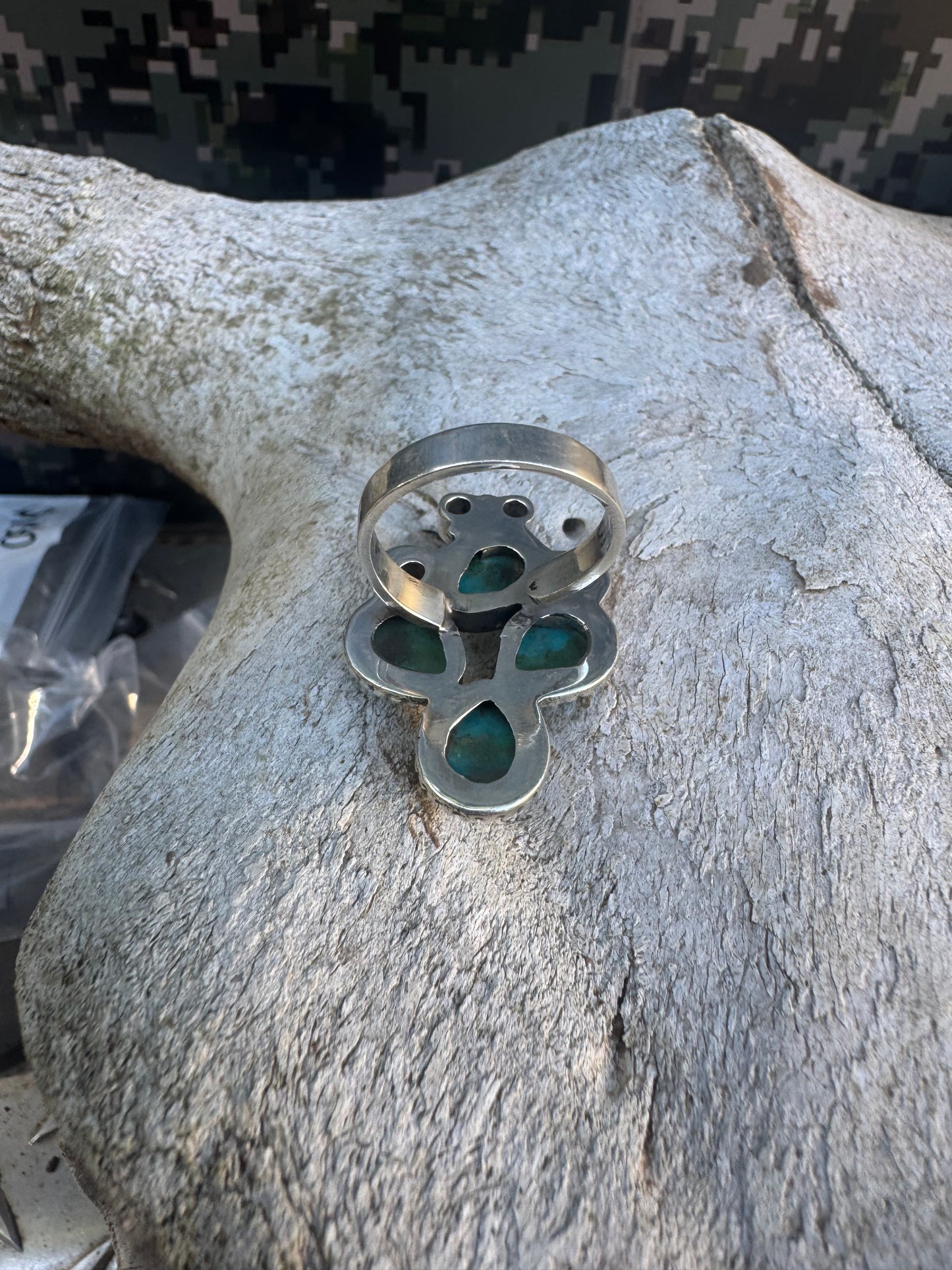 Small Cacti Collection